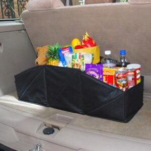 twist trunk organizer