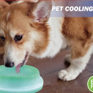 pet cooling bowl