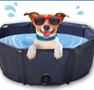 pet bathtub