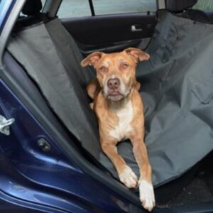 car pet hammock